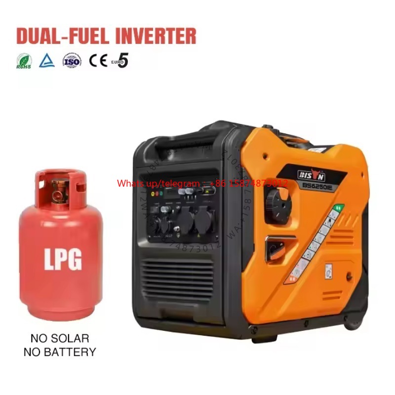 Dual Fuel 5000W 5kw 6.5kva Por - огляд і ціна Power Inverter